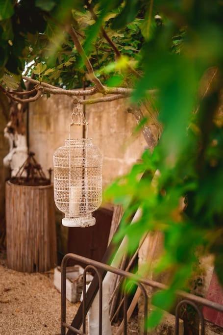 Villa Li Curti Con Piscina In Comune, Un'Oasi In Paese! Ortelle Extérieur photo